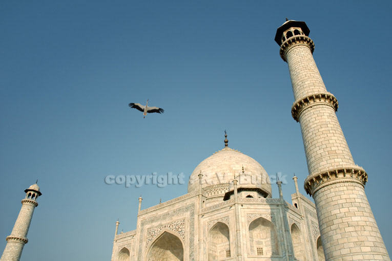India, Agra, Taj Mahal.    ©  R.V. Bulck